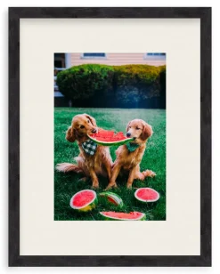 A Slice Of Summer