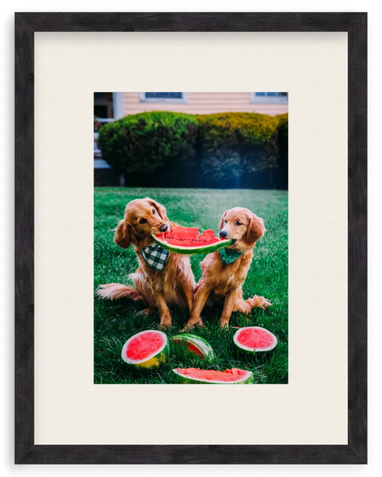 A Slice Of Summer