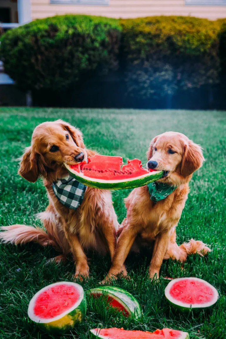 A Slice Of Summer