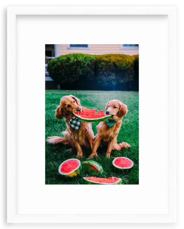A Slice Of Summer