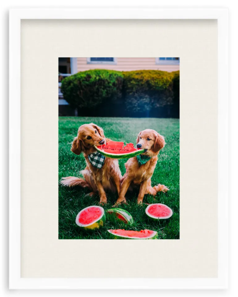 A Slice Of Summer