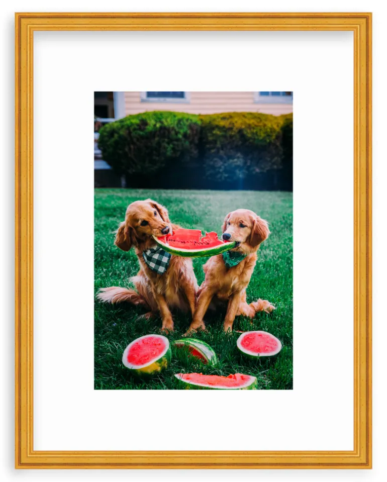 A Slice Of Summer