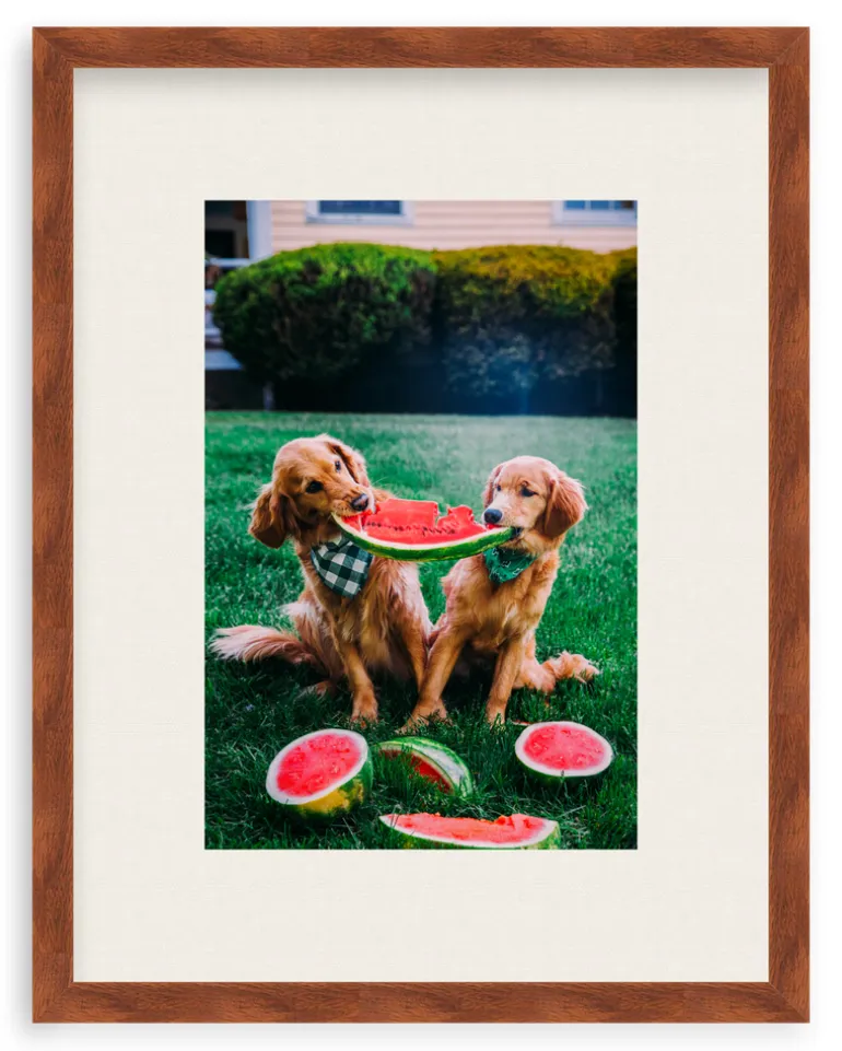A Slice Of Summer