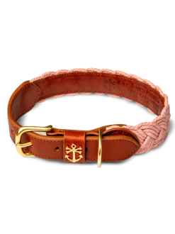 Bermuda Sand Beach Dog Collar