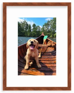 Doggie Paddle