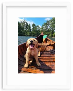 Doggie Paddle