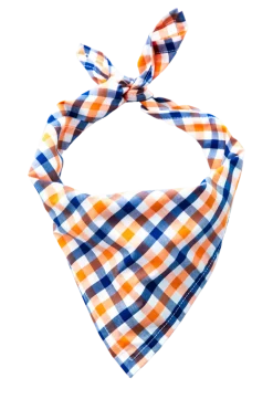 Falmouth Picnic Bandana