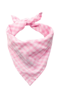 Sconset Picnic Bandana