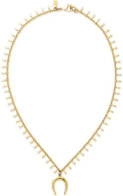 The Golden Horseshoe Necklace
