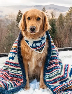 The Great Moose Bandana