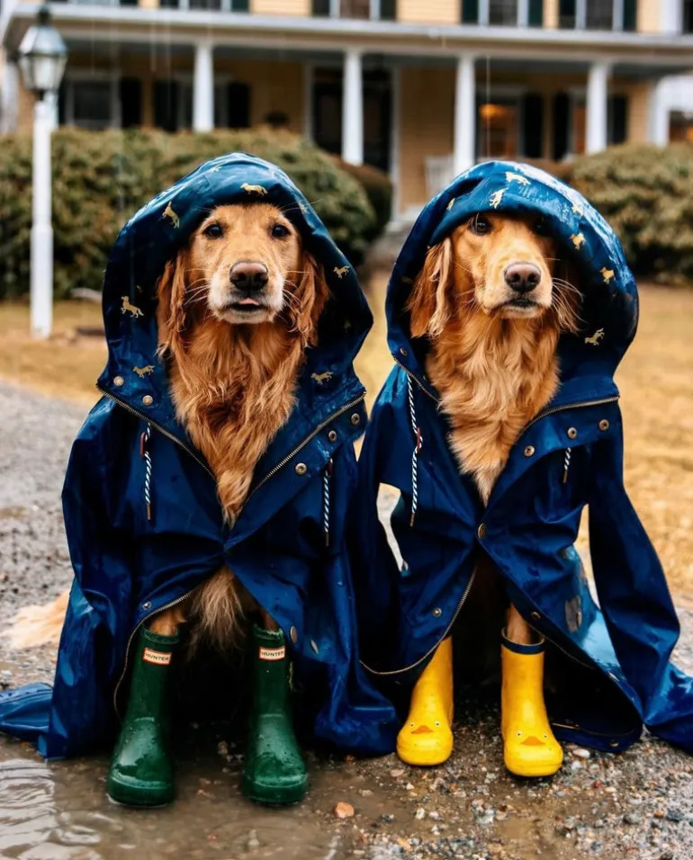 The Old Salt Navy Raincoat- Kids