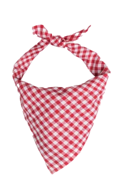 Vineyard Picnic Bandana